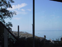 view from Sea
                        Lion Suite